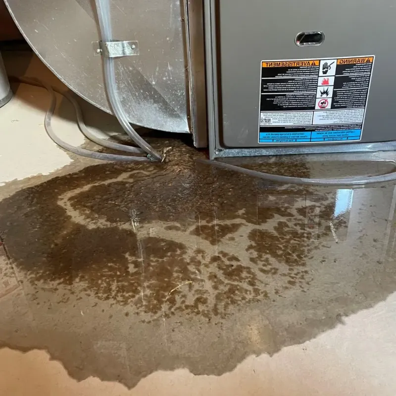 Pipe Burst and Leak Restoration in Gastonia, NC
